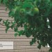 Сайдинг Ю-Пласт TIMBERBLOCK Пихта (Тимберблок) Cахалинская купить в Мурманске