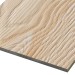 Фиброцементные панели FCSPRO Decor Wood Лиственница купить в Мурманске