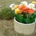 Цветник КАНЬОН купить в Мурманске